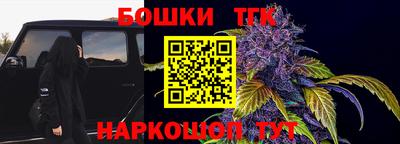 индика Дубна