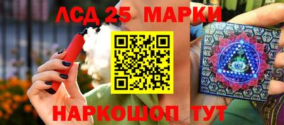 индика Дубна