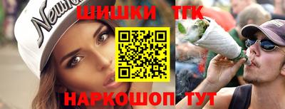 индика Дубна