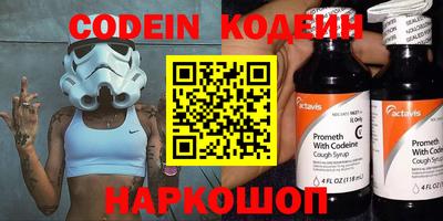 индика Дубна