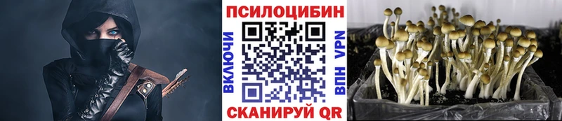 Галлюциногенные грибы мицелий  сколько стоит  Лыткарино 