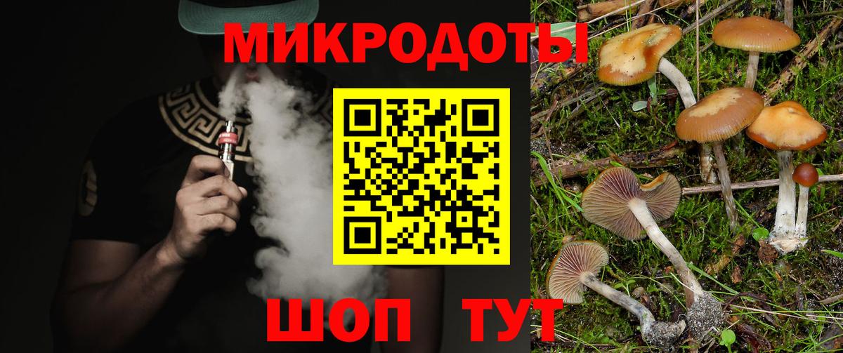 Псилоцибиновые грибы Cubensis Лыткарино