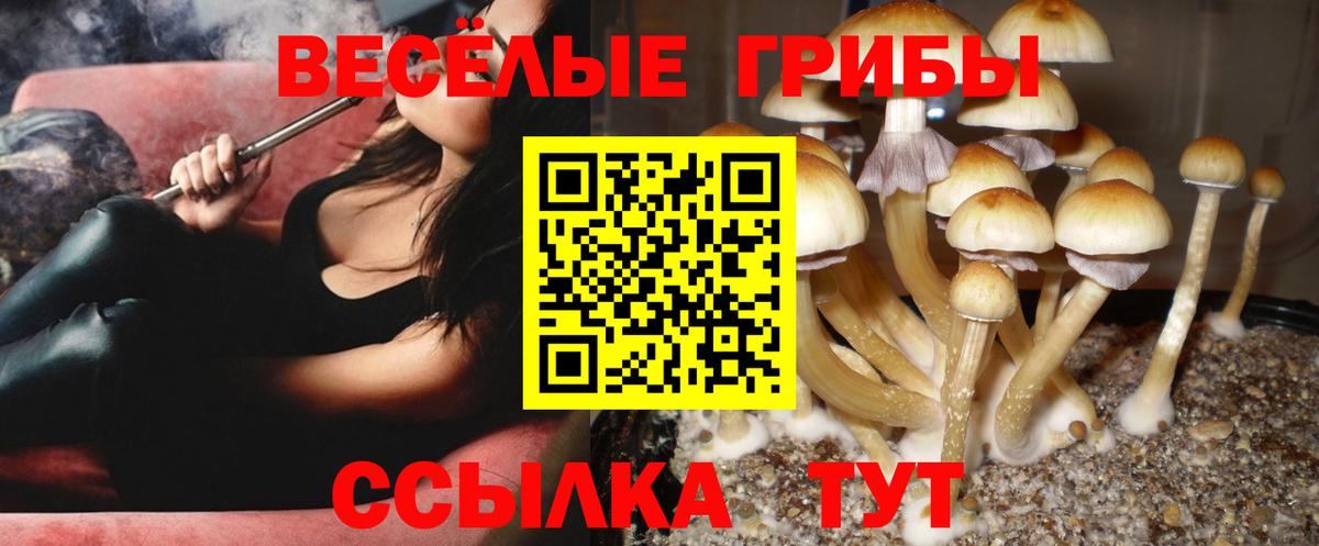 Лыткарино  Псилоцибиновые грибы мухоморы  Вход с VPN 